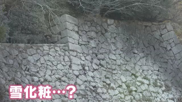 名古屋城の石垣が真っ白に… 犯人は数百羽の“黒い大群” 1泊20万円の高級ホテル前で起きている“異変”|TBS NEWS DIG