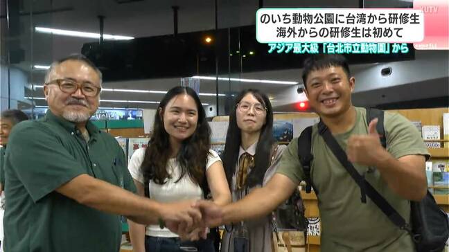 「台湾にいない“ハシビロコウ”が…」海外からの研修生は初　高知県立のいち動物公園に台湾からの研修生|TBS NEWS DIG