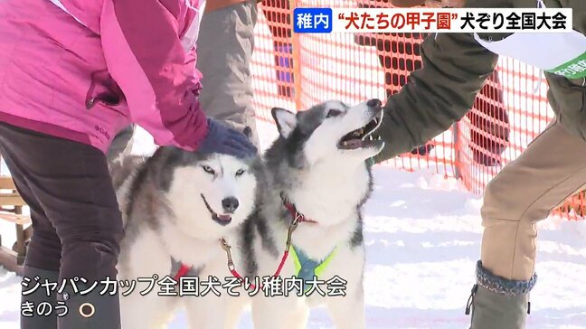 “犬たちの甲子園”愛犬と心を一つに駆け抜ける!「この短い足で走ってくれた、悔いなく楽しんだ」と参加者は笑顔 北海道稚内市|TBS NEWS DIG