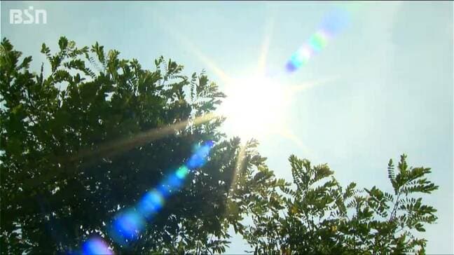 7月に入り各地で真夏日 夏本番へ!「お客さんに楽しく いい海でありますように」12日から『海開き』新潟県長岡市寺泊|TBS NEWS DIG