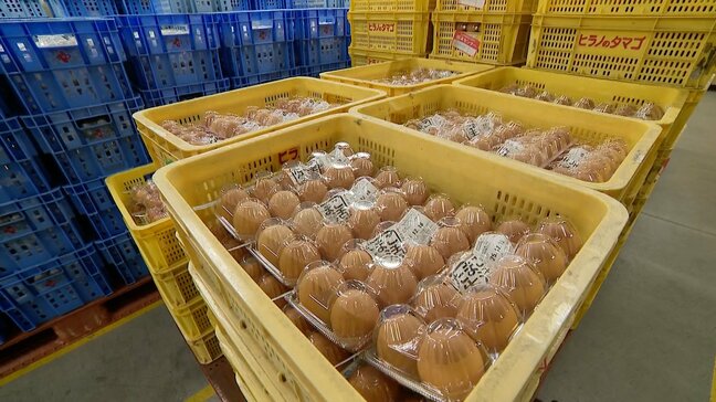 たまご高騰”エッグショック”超え　養鶏業者「来年6月頃まで高値続くのでは」長引く鳥インフルの影響・・・再出荷までに約1年　付加価値求めブランド卵に切り替える店も|TBS NEWS DIG