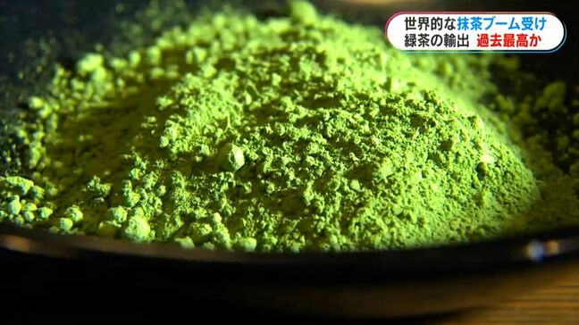 鹿児島の緑茶輸出、今年は過去最高か 抹茶がけん引「需要は今後も伸びる」|TBS NEWS DIG