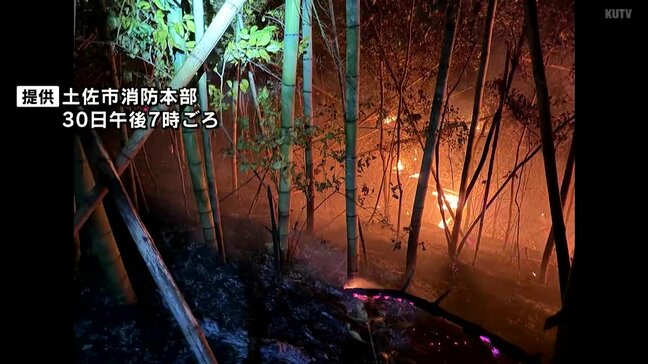 高知県土佐市の山林火災“鎮圧”状態に…“鎮火”に向けて今も消火活動　1月30日に発生|TBS NEWS DIG