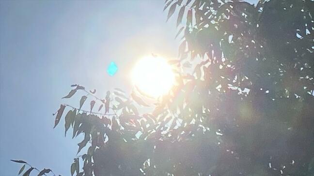 北・東・西日本　夏の平均気温の平年との差は統計開始以降、最も高く　気温の高い状態は今後も更に１か月程度続く見込み【2週間気温予報】|TBS NEWS DIG