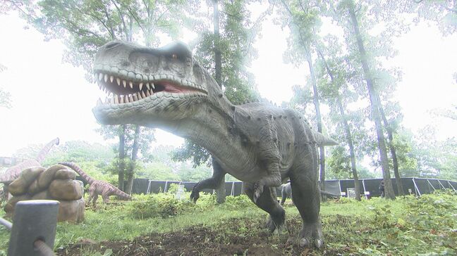 この夏おすすめ注目スポット　宮城にリアルな「恐竜の世界」登場|TBS NEWS DIG