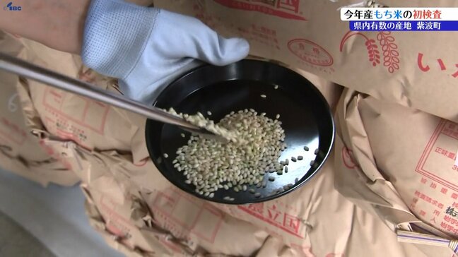 岩手県紫波町で2025年度産のもち米の初検査|TBS NEWS DIG