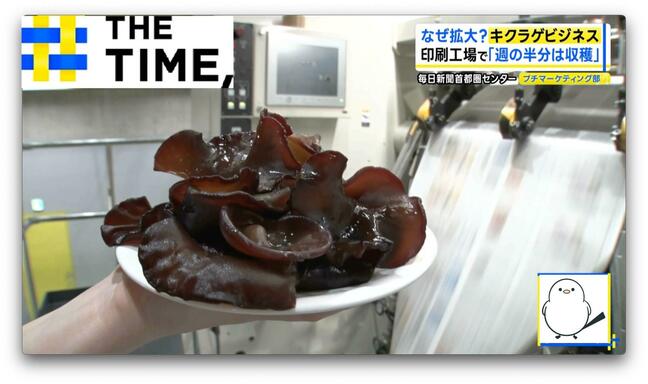 年商4000万円も夢じゃない「キクラゲビジネス」なぜ拡大？【THE TIME,】|TBS NEWS DIG