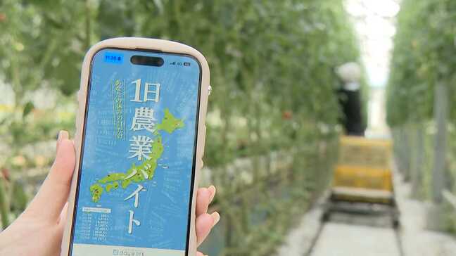 「普段は会社員です」「本職は看護師なんですよ」 スキマバイトは農業 なぜ? 休日、農園や畑に集まる人たち|TBS NEWS DIG