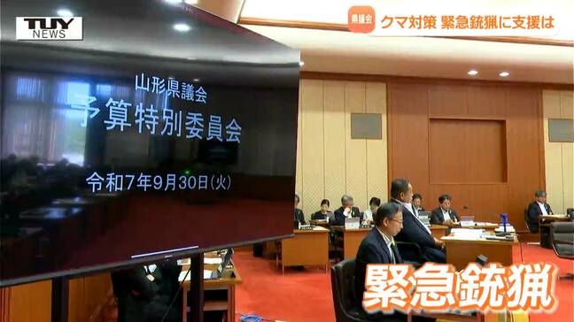 【県議会】クマ対策で注目の「緊急銃猟」県が現場をどう支援するかを問うと…（山形）|TBS NEWS DIG