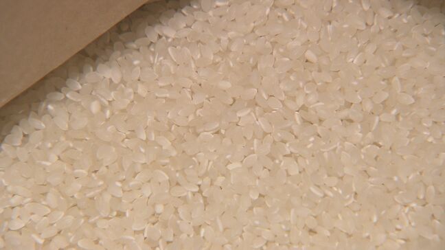 「大丈夫ですよ」と通知が来たが…備蓄米12トン申し込みも入荷のめど立たず　コメ販売店の現状　福島・いわき市|TBS NEWS DIG