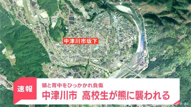 【速報】中津川市で帰宅中の男子高校生がクマに襲われる　頭を背中をひっかかれ負傷も命に別状はないもよう|TBS NEWS DIG
