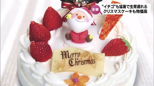 クリスマスケーキにも物価高の波　イチゴも生育遅れ　一方で新しいトレンドも|TBS NEWS DIG