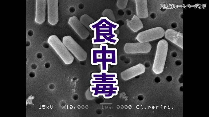 宿泊施設で97人に腹痛や下痢などの症状　ウエルシュ菌による集団食中毒と断定　食事を提供した飲食店業者に営業禁止処分　広島・福山市|TBS NEWS DIG