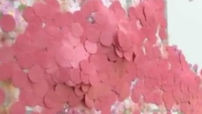 「どこから桜見にきた？」観光客にひそかな人気の『どこから来ましたかボード』　6日で約6000人が利用　山のようにシールが貼られた場所は…？　|　青森のニュース│ATV NEWS│青森テレビ