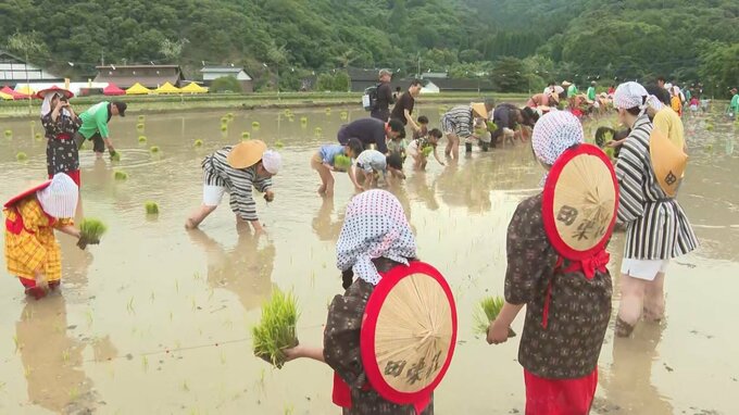 豊後高田市の田染荘で伝統の御田植祭　|　大分のニュース｜OBS NEWS｜大分放送