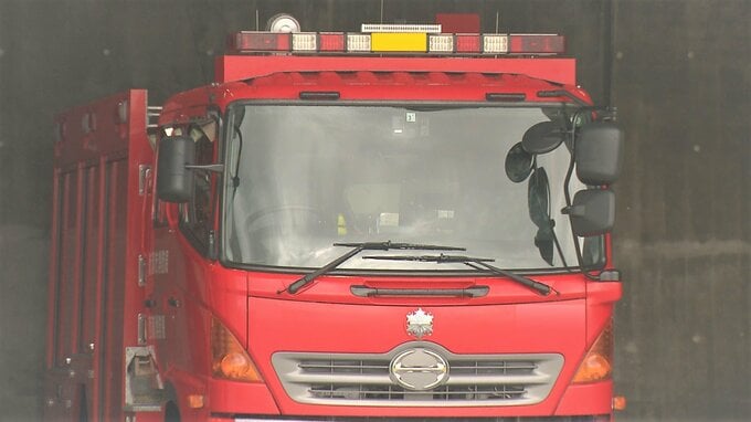 高速で「運転中にミラーを見たら車から煙が」関越道上りの山谷PAで2トントラックから出火 けが人なし　新潟・小千谷市|TBS NEWS DIG