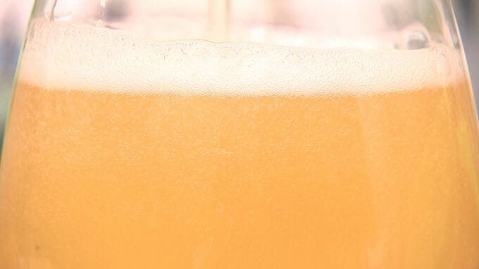 カボスの皮を活用したクラフトビール完成　フードロス削減へ　香りや酸味が特徴の商品をお披露目　|　大分のニュース｜OBS NEWS｜大分放送