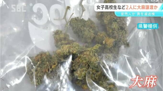 大麻の密売人か　少年と女子高校生に大麻約1グラム5000円で譲渡した疑い　岡谷市の会社員の男を追送検　入手経路や余罪を調べる　長野　|　SBC NEWS | 長野のニュース | SBC信越放送
