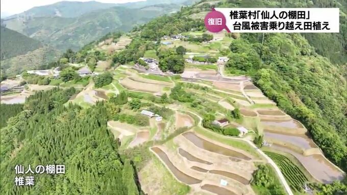 「米を植える事ができるから一番楽しみじゃわな」椎葉村「仙人の棚田」田植え始まる　台風被害乗り越えた住民の思い　　|　MRTニュース ｜ ＭＲＴ宮崎放送
