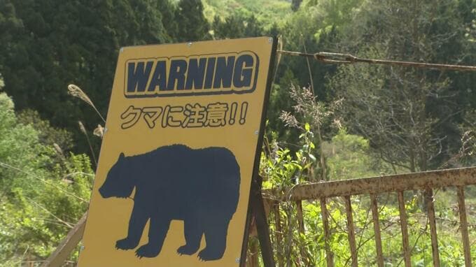 河川敷で除草作業中にクマに襲われる　男性２人が軽いケガ　福島・喜多方市|TBS NEWS DIG