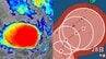 【台風情報】後ろには“気がかりな渦”も…　関東接近の恐れがある台風26号　最大瞬間風速55m/s「強い勢力」にまで発達見込み　日本への影響は？　進路予想／雨と風の予想シミュレーションあり　|　青森のニュース│ATV NEWS│青森テレビ