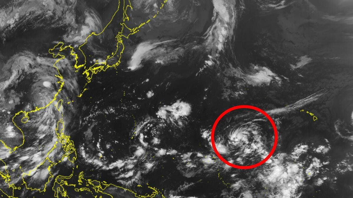 【台風情報】日本列島のある北西へ「台風のたまご」発生　最大瞬間風速60m「強い」…