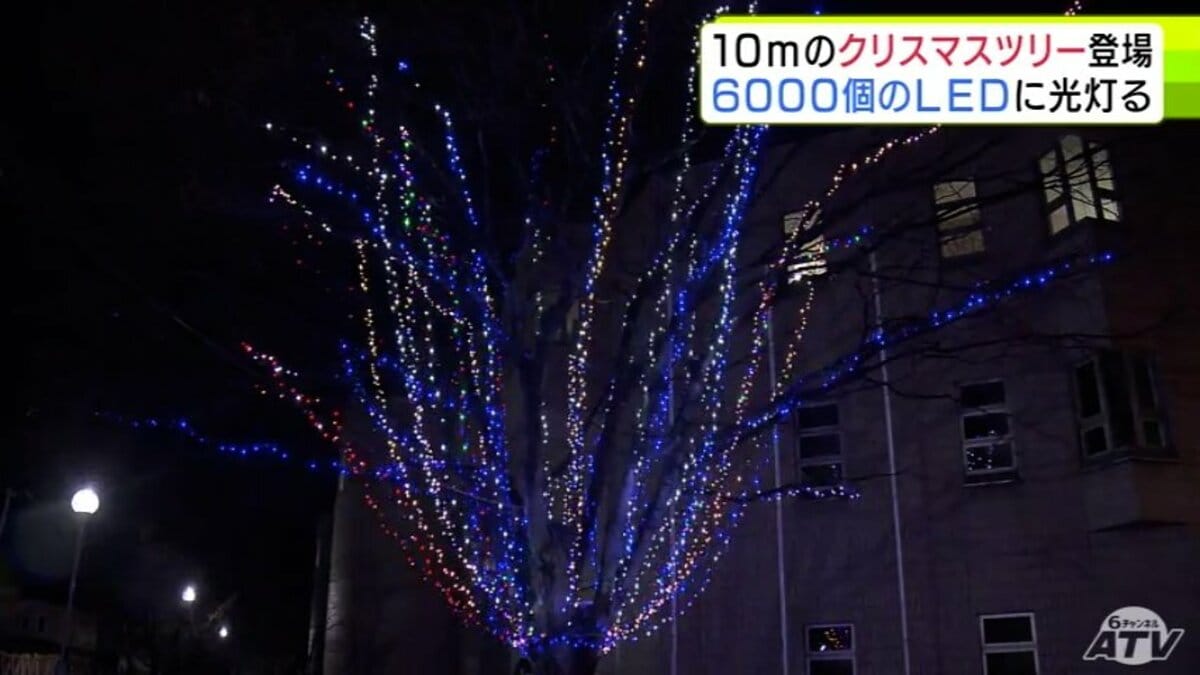 高さ10mのケヤキの木で学校に巨大クリスマスツリー 6000個のLED