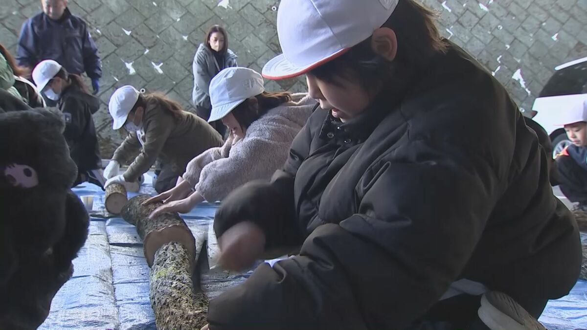 小学生がシイタケの駒打ちを体験　2年後に収獲へ　大分