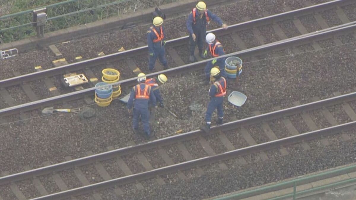 JR東海道線 岡崎～刈谷の上下線で一時運転見合わせ 線路内の石が高架下に落ち くぼみができたか あわせて28本運休 約7500人に影響
