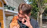 【照英】　家族のニワトリ　「第一号の卵」に喜び爆発　「嬉しさと感動で、涙が止まらなかった」|TBS NEWS DIG