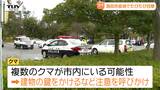 【動画】市街地で複数のクマが行動か...酒田市の中心部でクマ目撃相次ぐ　公園や小学校近くでも（山形）|TBS NEWS DIG
