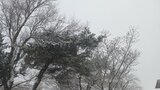 警報級の風となる可能性も 沿岸の海上中心に25日にかけて雪を伴った強い風 気象情報発表|TBS NEWS DIG