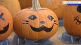 大小300個のカボチャがずらり 盛岡の生花店でハロウィーンを演出 31日夜にはライトアップも 岩手 | IBC NEWS | IBC岩手放送