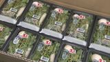 大分市公設地方卸売市場で初競り 「魚」高値、「野菜」安値で取り引き | 大分のニュース|OBS NEWS|大分放送