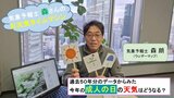 149年前は東京でマイナス9度!!2025年の成人の日、天気はどうなる?【お天気タイムマシン】|TBS NEWS DIG