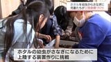 小学生がホタル幼虫の上陸装置つくり　宮崎県内有数のホタルの生息地・延岡市北川町　|　MRTニュース ｜ ＭＲＴ宮崎放送