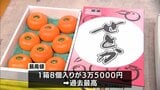 「みかんの大トロ」せとかの初競り 1箱8玉入りが3万5000円の過去最高値 | MRTニュース | MRT宮崎放送