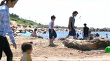天候不順により今夏の海水浴客は2割以上減の一方で“県外客”の割合は『過去最高』新潟県|TBS NEWS DIG