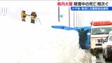 今季 除雪などによる死者は17人に【大雪】小千谷市と魚沼市に『災害救助法』を適用　新潟県|TBS NEWS DIG
