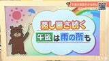 28日(金)も厳しい蒸し暑さ続く 午後は雨の所も 愛媛|TBS NEWS DIG