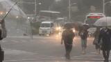 県が総額29億円の一般会計補正予算案 今年6月の大雨災害関連費や「ジャングリア」渋滞対策など|TBS NEWS DIG