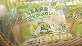 1か月だけの限定販売　「鳥取県産二十世紀梨のメロンパン」　　|　BSSニュース | BSS山陰放送