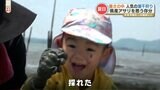 「楽しい!採りたいもっと!」GWにいかが?潮干狩り解禁 子どもたちにも人気 熊本・八代市 | 熊本のニュース|RKK NEWS|RKK熊本放送