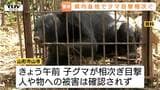 引き続きクマへの警戒を きょうは民家の敷地などで目撃 クマ出没警報継続中(山形) | 山形のニュース│TUYテレビユー山形