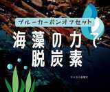 [特集]ブルーカーボンオフセット…海藻の力で脱炭素　|　福岡のニュース｜RKB NEWS｜RKB毎日放送