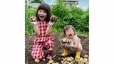 【ののちゃん】 「とったぞー!!!」7歳と2歳の姉弟が大量じゃがいも収穫の喜びを公開|TBS NEWS DIG