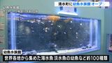 世界的にも珍しい「幼魚水族館」がオープン 世界各地から集めた約100種類展示=静岡・清水町|TBS NEWS DIG