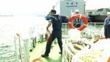 覚せい剤密輸の取締中の海中転落などを防止 鹿児島税関支署が水難救助訓練|TBS NEWS DIG