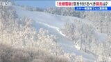 斑尾高原スキー場の雪崩「予兆がなく突然発生した非常に珍しいケース」 全層雪崩への注意点は|TBS NEWS DIG