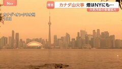 カナダで山火事160件超　街は煙でオレンジに…トロントなどで“大気汚染警報”　危険度は最高の「10+」　隣接の米NYでも注意報| TBS CROSS DIG with Bloomberg